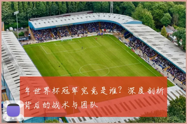 年世界杯冠军究竟是谁？深度剖析背后的战术与团队