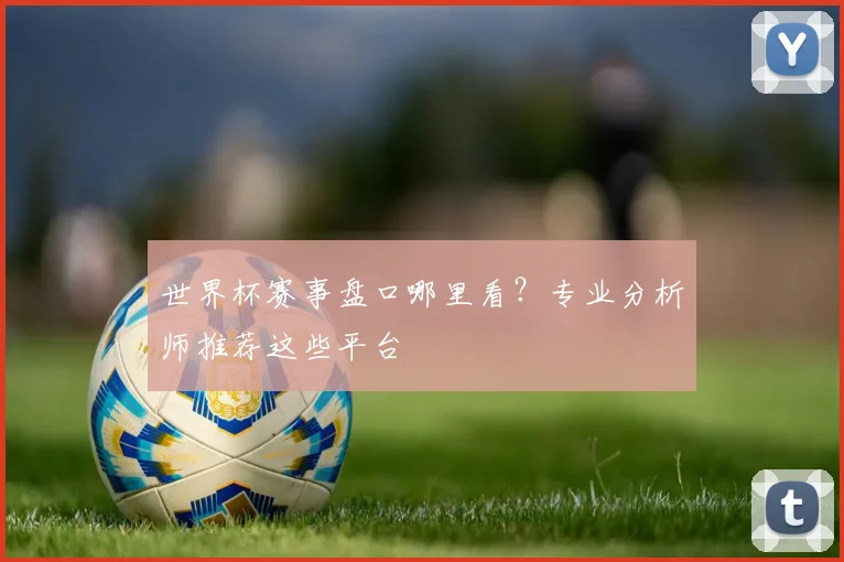 世界杯赛事盘口哪里看？专业分析师推荐这些平台