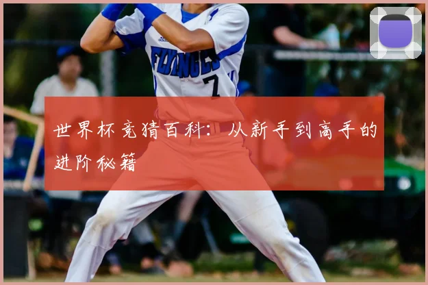 世界杯竞猜百科：从新手到高手的进阶秘籍