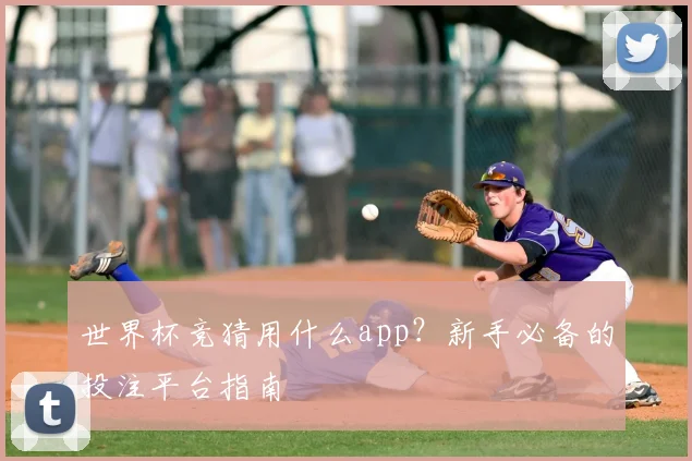 世界杯竞猜用什么app?新手必备的投注平台指南