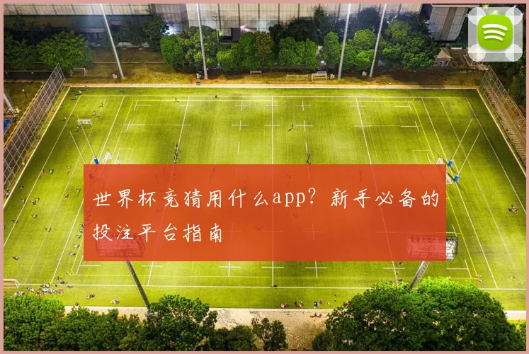 世界杯竞猜用什么app？新手必备的投注平台指南