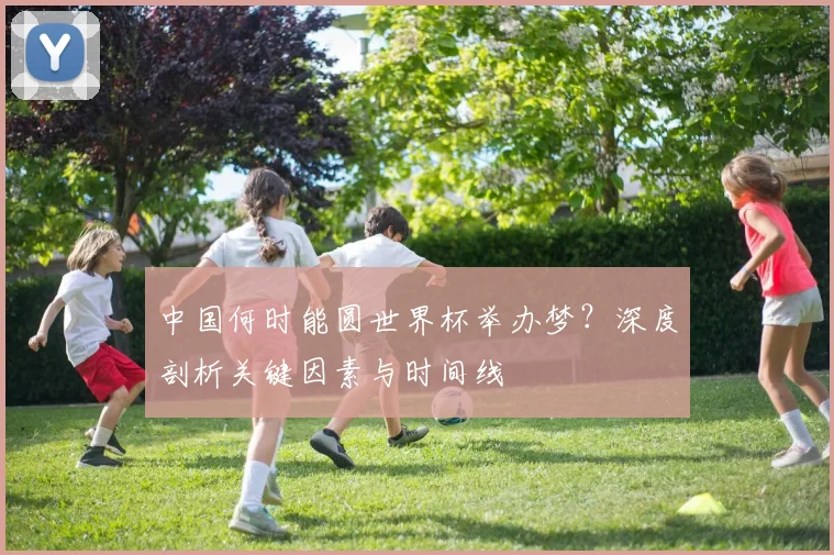 中国何时能圆世界杯举办梦?深度剖析关键因素与时间线