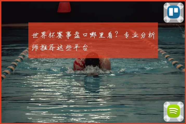 世界杯赛事盘口哪里看?专业分析师推荐这些平台