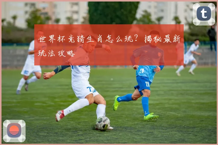 世界杯竞猜生肖怎么玩?揭秘最新玩法攻略